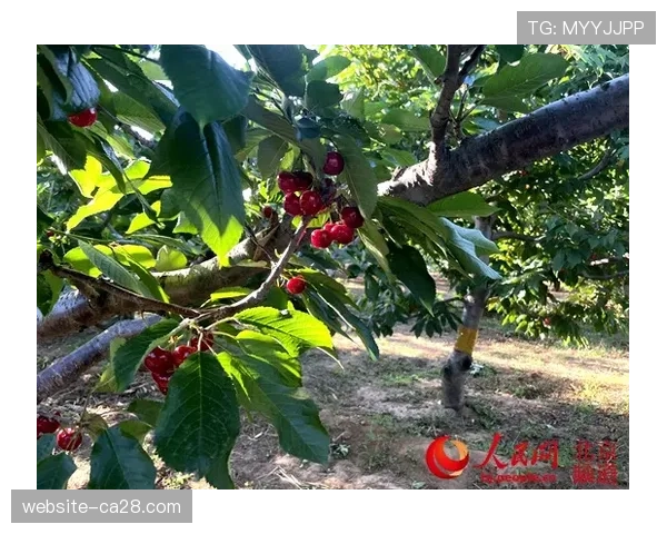 迈尔斯特纳推出环保纪录片呼吁守护德州珍贵水资源